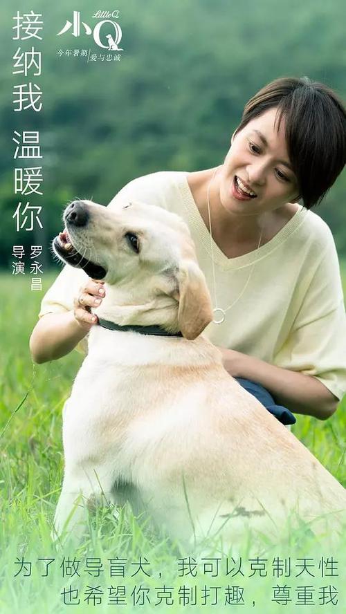 办乡村医师资格证
